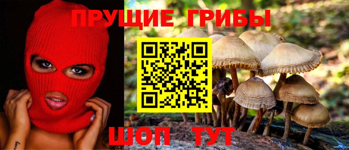 Псилоцибиновые грибы прущие грибы  Вход с VPN  Михайловск 