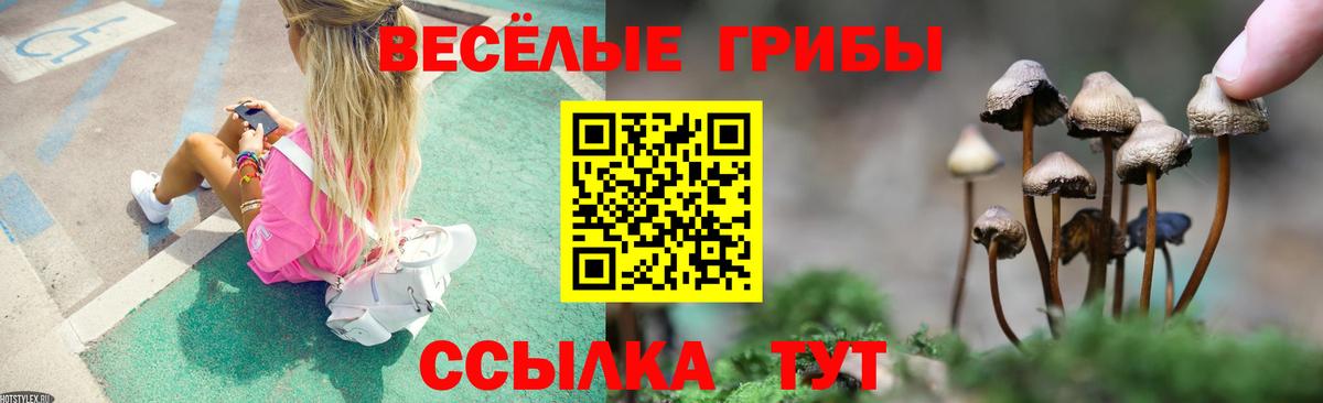Галлюциногенные грибы Cubensis Михайловск